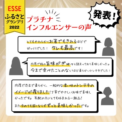 【ESSEふるさとグランプリ2022銀賞受賞】プレミアム 三河とんてき2枚　H007-095