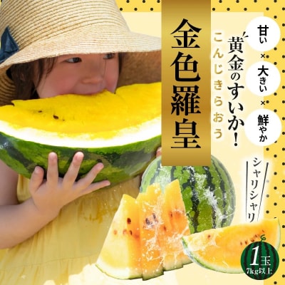 【2026年発送】甘さを追求したすいか「金色羅皇」1玉 甘い 果物 フルーツ　H141-014