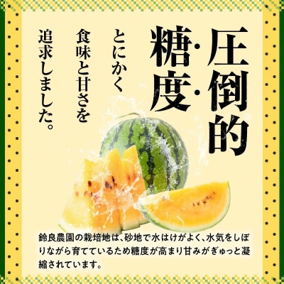 【2026年発送】甘さを追求したすいか「金色羅皇」1玉 甘い 果物 フルーツ　H141-014