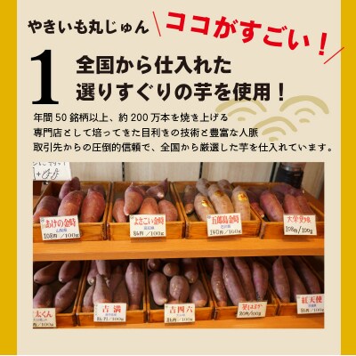 【全6回】毎月1種類ずつ届く 冷やし焼き芋定期便 約1kg×6回(計3種)芋スイーツH047-051