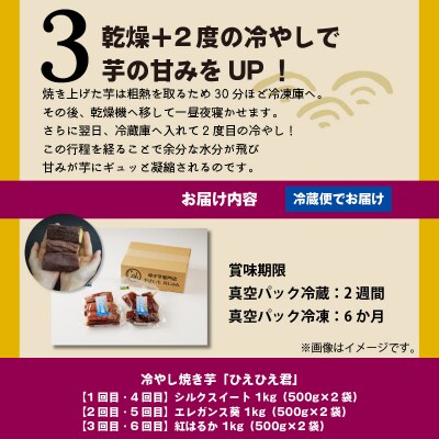 【全6回】毎月1種類ずつ届く 冷やし焼き芋定期便 約1kg×6回(計3種)芋スイーツH047-039