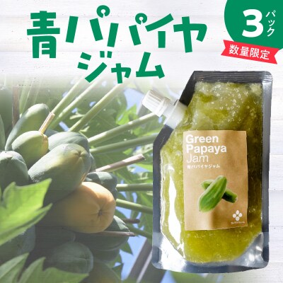 数量限定 栄養たっぷり!無添加 青パパイヤのジャム 3パック H164-007