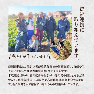 【農福連携】 やみつき塩けんぴ(芋けんぴ)　7袋小分けセット 菓子 スイーツ H187-002