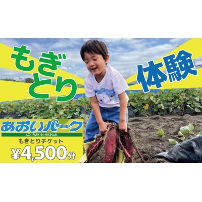 【旬のお野菜・もぎとり体験チケット 4,500円分】 H025-011