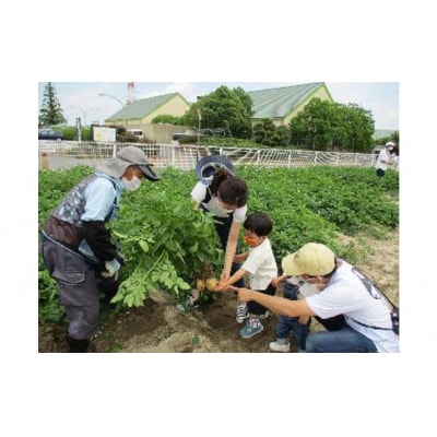【旬のお野菜・もぎとり体験チケット 4,500円分】 H025-011