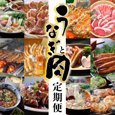 【全12回】厳選!うなぎとお肉の定期便(毎月お届け)　H028-086