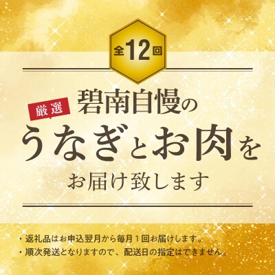 【全12回】厳選!うなぎとお肉の定期便(毎月お届け)　H028-086