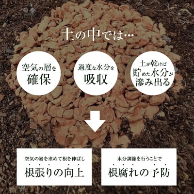 三河焼 植木鉢 ダークシルバー【テラチップいぶし】 植物栽培セット H188-001