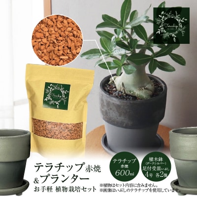 三河焼植木鉢ダークシルバー【テラチップ赤焼】植物栽培セット H188-002
