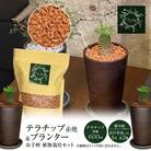 三河焼植木鉢ハーモニーブラウン【テラチップ赤焼】 植物栽培セット H188-004
