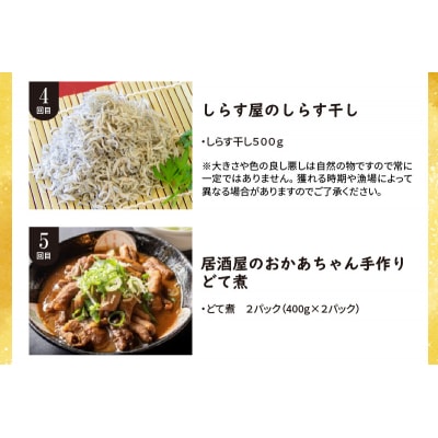 【全5回】お酒のおともに!厳選 おつまみの定期便　H028-083