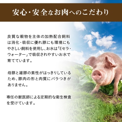 白い豚丼の具4袋セット H184-004