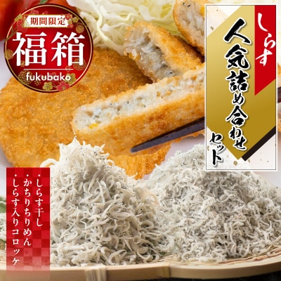 年内発送  【福箱★2026】 しらす干し かちりちりめん しらす入りコロッケ H018-052