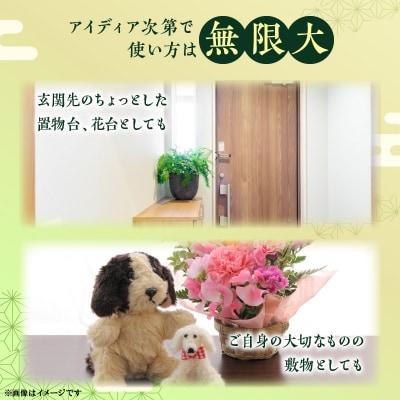 ミニたたみ(正角小) H100-100