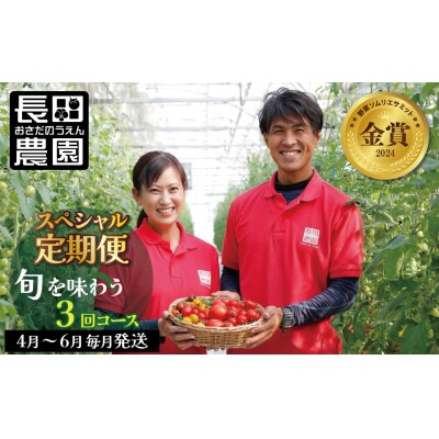 【4月～6月の定期便】トマト好き全員集合トマト3か月お届けパック　H004-173