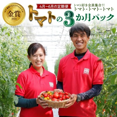 【事前受付】【4月～6月の定期便】トマト好き全員集合トマト3か月お届けパック　H004-173