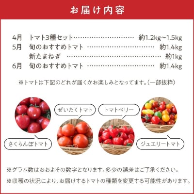 【4月～6月の定期便】トマト好き全員集合トマト3か月お届けパック　H004-173
