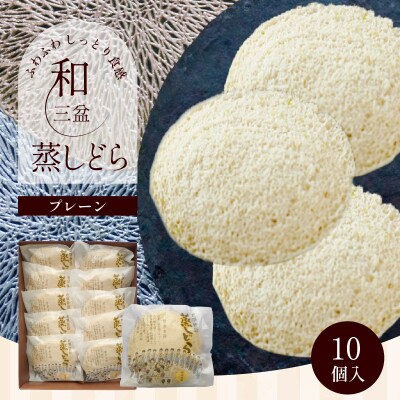 【蒸しどら プレーン 10個入 】和三盆 どら焼き 餡 ふわふわ しっとり食感 H181-010