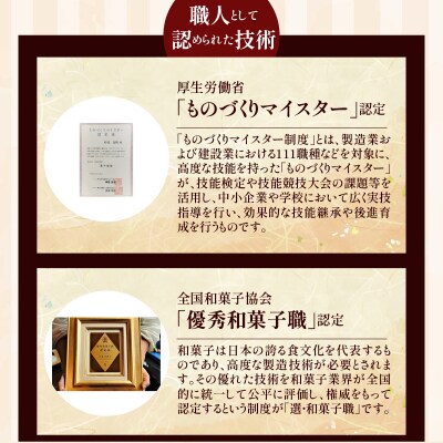 【蒸しどら プレーン 10個入 】和三盆 どら焼き 餡 ふわふわ しっとり食感 H181-010