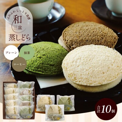 【蒸しどら3種 10個入 】和三盆 プレーン×5 抹茶×3 コーヒー×2  H181-012