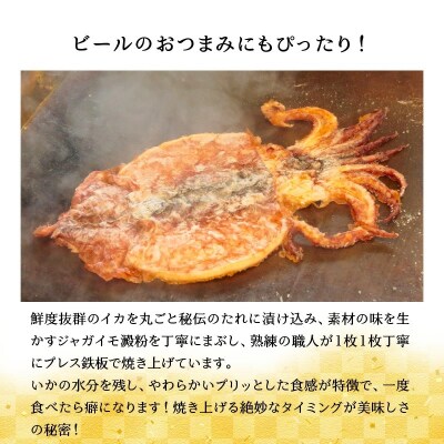 えびせん家族名物「冷凍 いかの姿焼き 10枚セット」 H011-123
