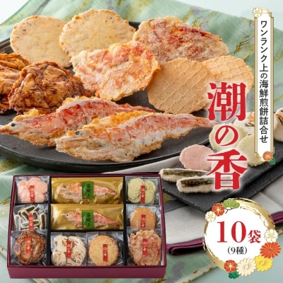 海鮮煎餅詰合せ「潮の香10袋(9種)」 H011-118
