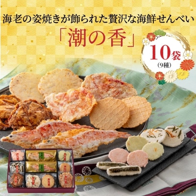 海鮮煎餅詰合せ「潮の香10袋(9種)」 H011-118