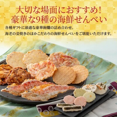 海鮮煎餅詰合せ「潮の香10袋(9種)」 H011-118