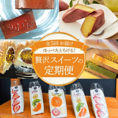 【全5回】ほっぺたとろける!贅沢 スイーツの定期便 H028-084
