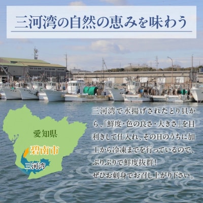  【数量限定】三河産 天然とり貝 計18枚(9枚×2パック) H018-053