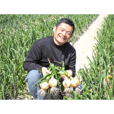 【事前予約】神重農産のブランド玉ねぎ「旬玉」5kg×4回 H105-178