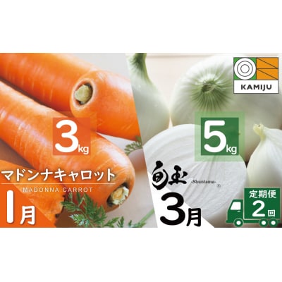 (某TV番組で紹介) 【2027年発送:先行受付】にんじん 新玉ねぎ 定期便 2回 H105-179