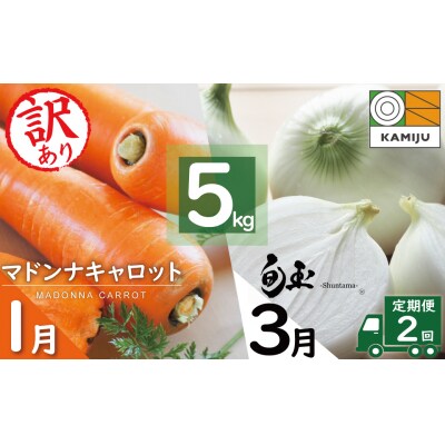 (TVで紹介)  【2027年発送】 訳あり にんじん 新玉ねぎ 定期便 2回 H105-184