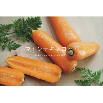 (TVで紹介)訳あり にんじん 新玉ねぎ 定期便 2回 H105-184