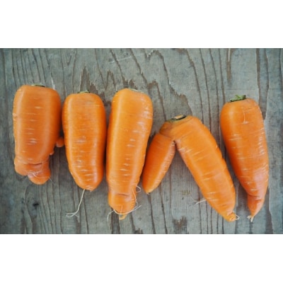 予約受付(TVで紹介)【期間限定】訳あり!「マドンナキャロット」2kg  H105-134