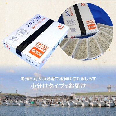 【1年定期便 毎月 全12回】しらす屋のしらす干し630g(70g×9p) H006-094