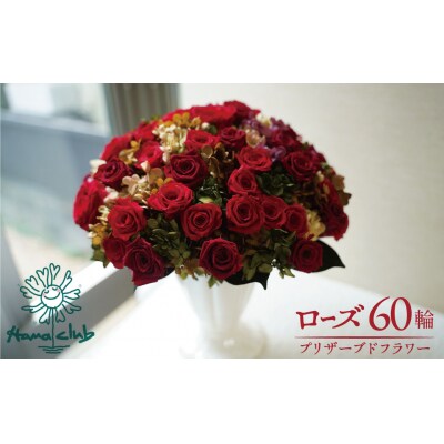 プリザーブドフラワーローズ60輪のアレンジメント　ギフト 産地直送 インテリア H193-016