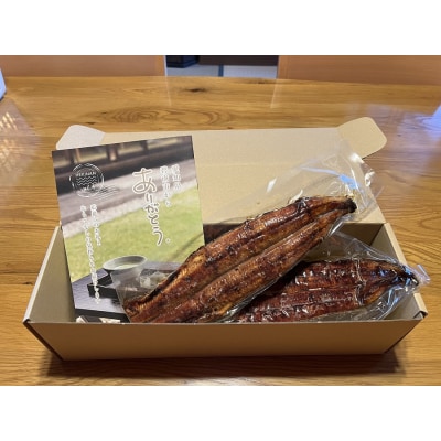 【備長炭で焼く“いい焦がし”】三河一色産うなぎの蒲焼2尾 H189-002