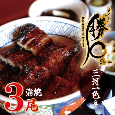 【備長炭で焼く“いい焦がし”】三河一色産うなぎの蒲焼3尾 H189-003