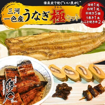 【備長炭で焼く“いい焦がし”】勝〇のぜいたく極セット H189-005