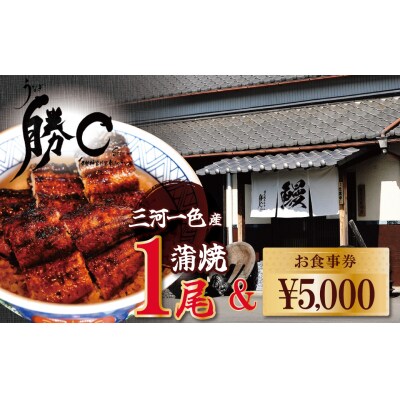 【備長炭で焼く“いい焦がし”】うなぎの蒲焼1尾と「勝〇食事券5,000円分」 H189-006
