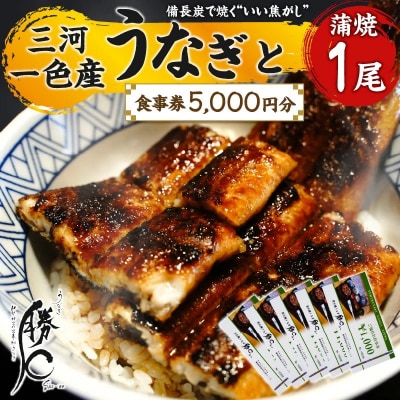 【備長炭で焼く“いい焦がし”】うなぎの蒲焼1尾と「勝〇食事券5,000円分」 H189-006
