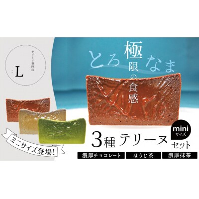 【テリーヌ専門店L】ミニサイズ濃厚抹茶・濃厚チョコレート・ほうじ茶のテリーヌセット H173-009