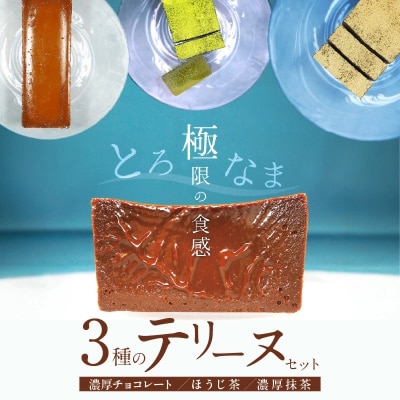 濃厚抹茶・濃厚チョコレート・ほうじ茶のテリーヌセット (各200g) H173-009