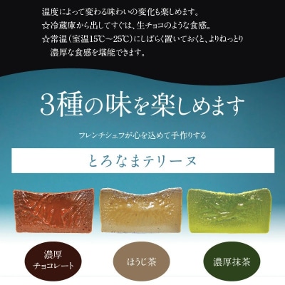 濃厚抹茶・濃厚チョコレート・ほうじ茶のテリーヌセット (各200g) H173-009