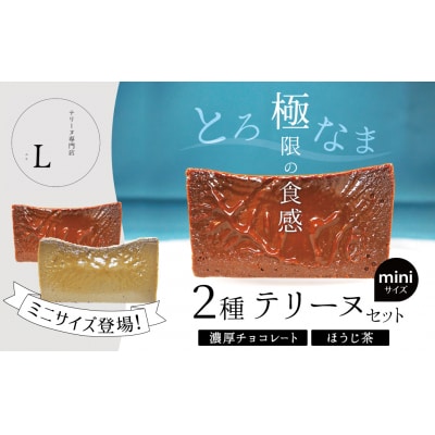 【テリーヌ専門店L】ミニサイズ濃厚チョコレート・ほうじ茶2種のテリーヌセット H173-011