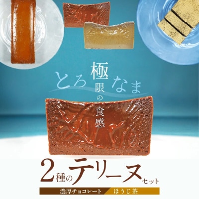 【テリーヌ専門店L】(約200g)濃厚チョコレート・ほうじ茶2種のテリーヌセット H173-011