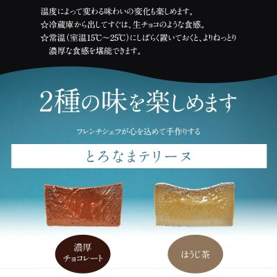 【テリーヌ専門店L】(約200g)濃厚チョコレート・ほうじ茶2種のテリーヌセット H173-037