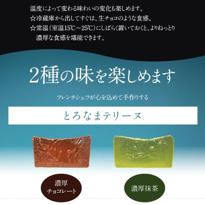 【テリーヌ専門店L】(200g)濃厚抹茶・濃厚チョコレート2種のテリーヌセット H173-010