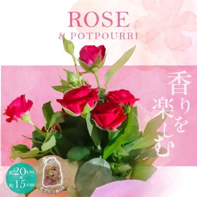  バラ 花束 ポプリ サシェ 匂袋 生花 H092-063